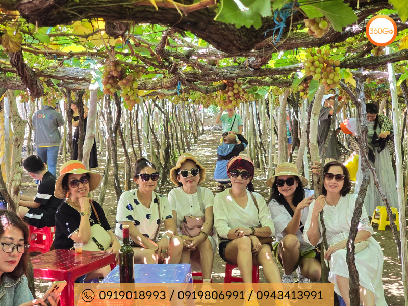 Tham quan vườn nho - Du lịch 360Go